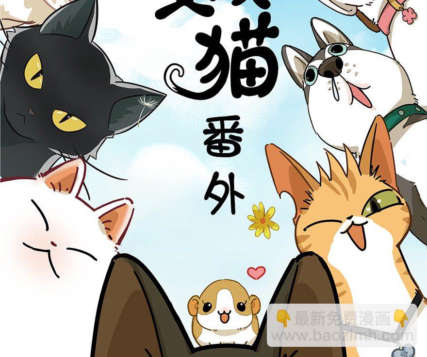 第4爪 香！真香！-第4话