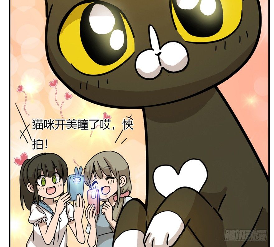 第4爪 香！真香！-第4话