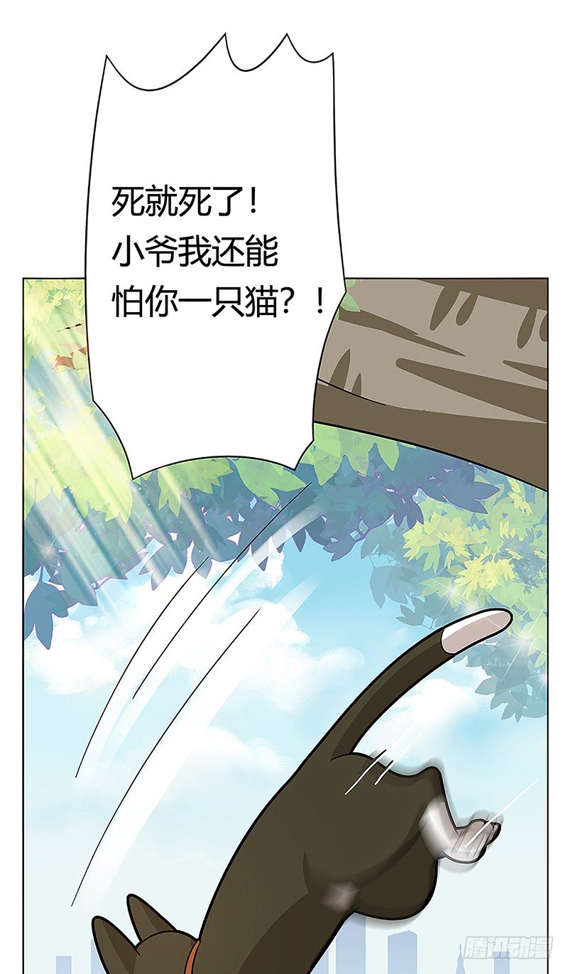 第38爪 坑你没商量-第38话