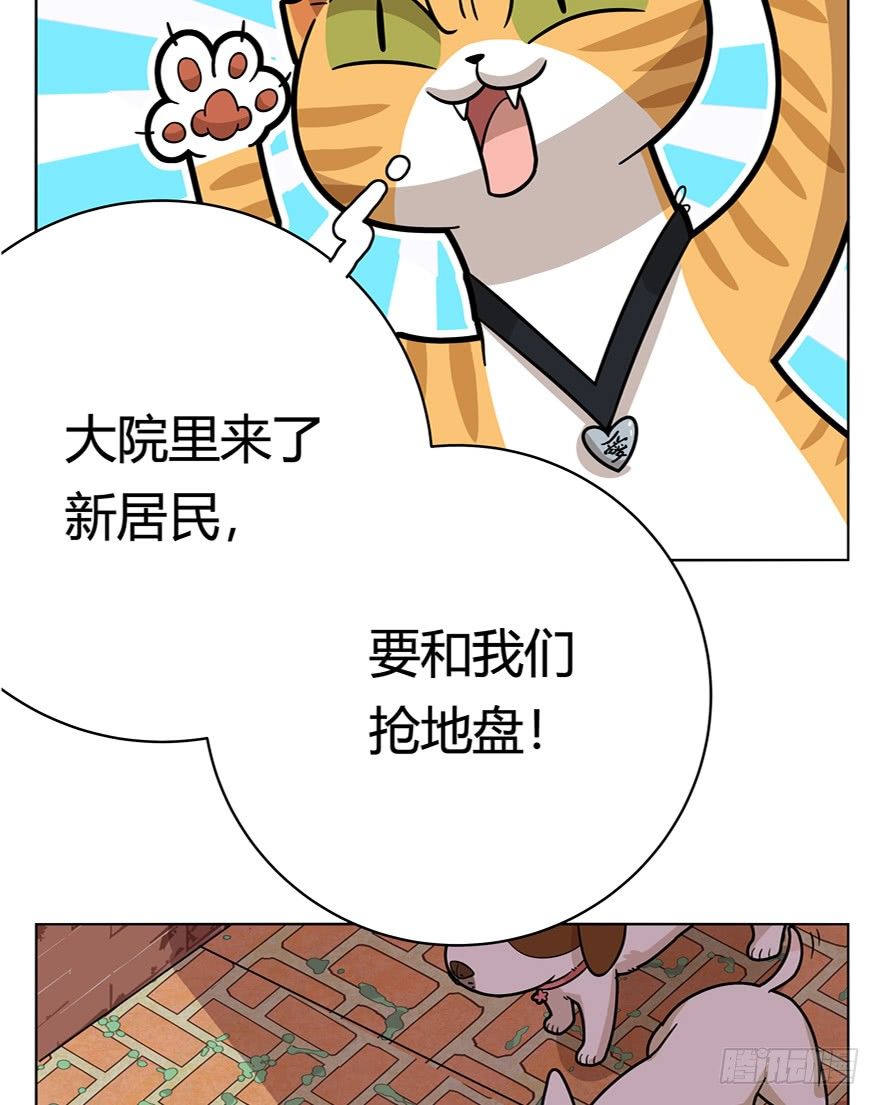 第40爪 外来户（上）-第40话
