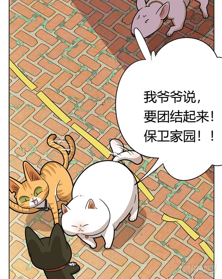第40爪 外来户（上）-第40话