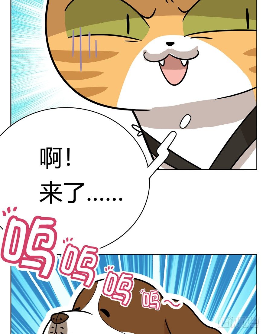 第40爪 外来户（上）-第40话