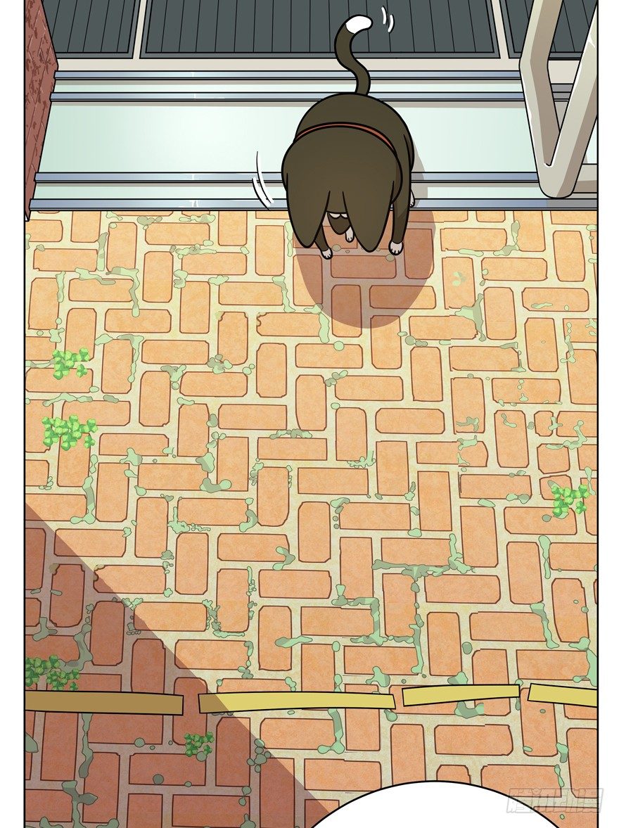 第40爪 外来户（上）-第40话