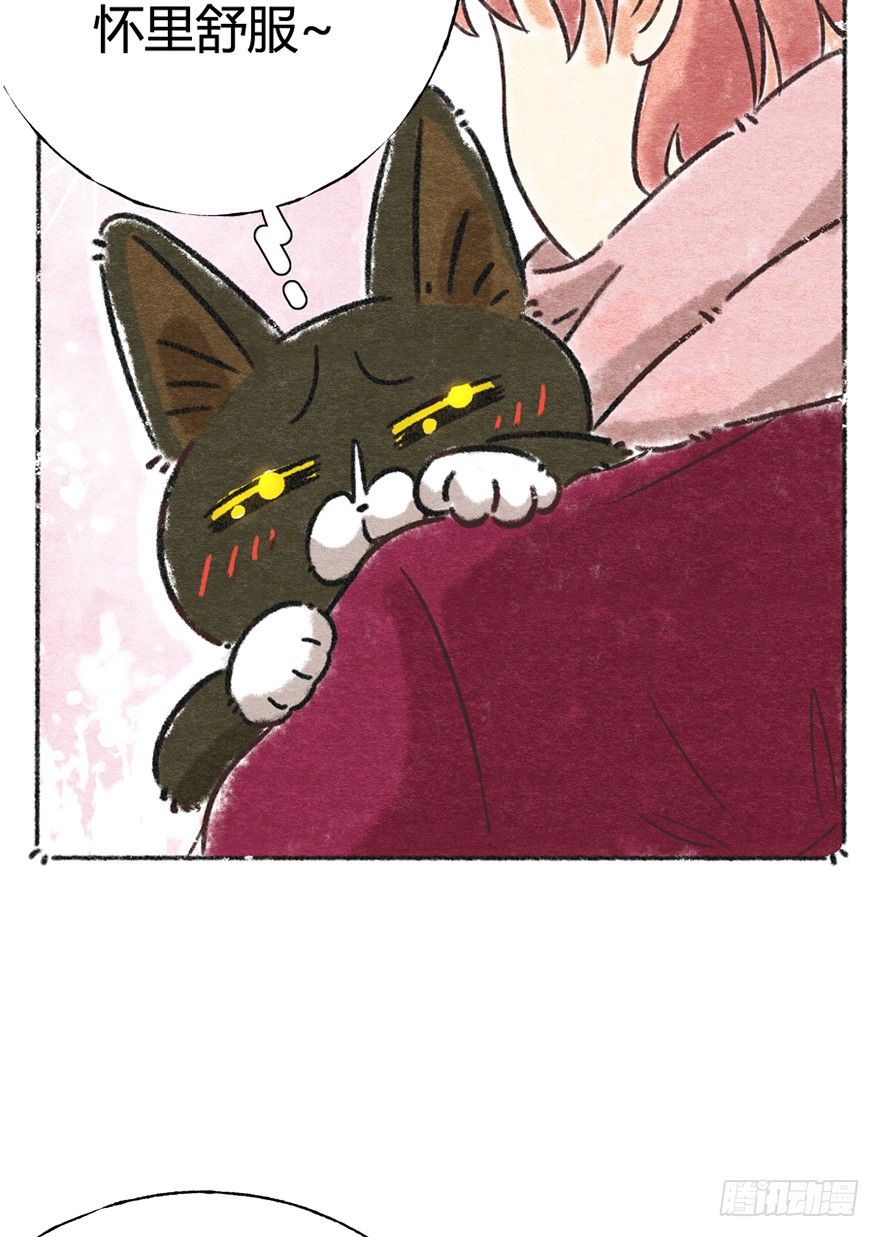 新年番外一  为啥没有猫年-第42话