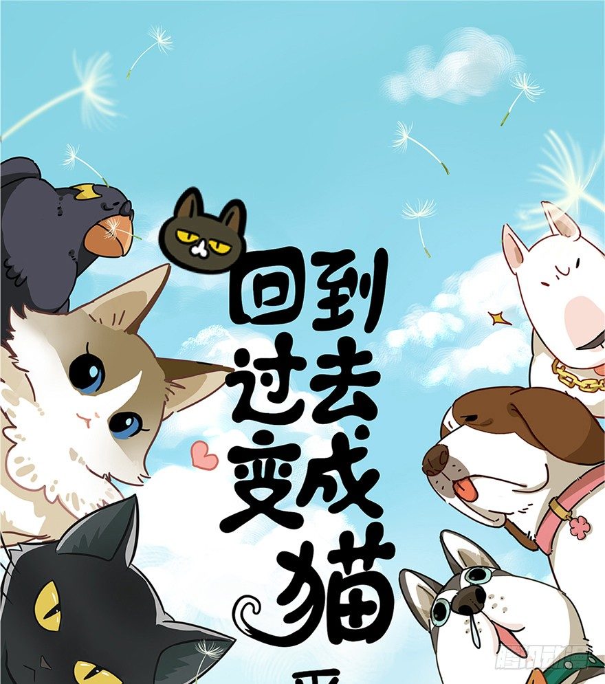 第42爪 想不到的结局（上）-第48话