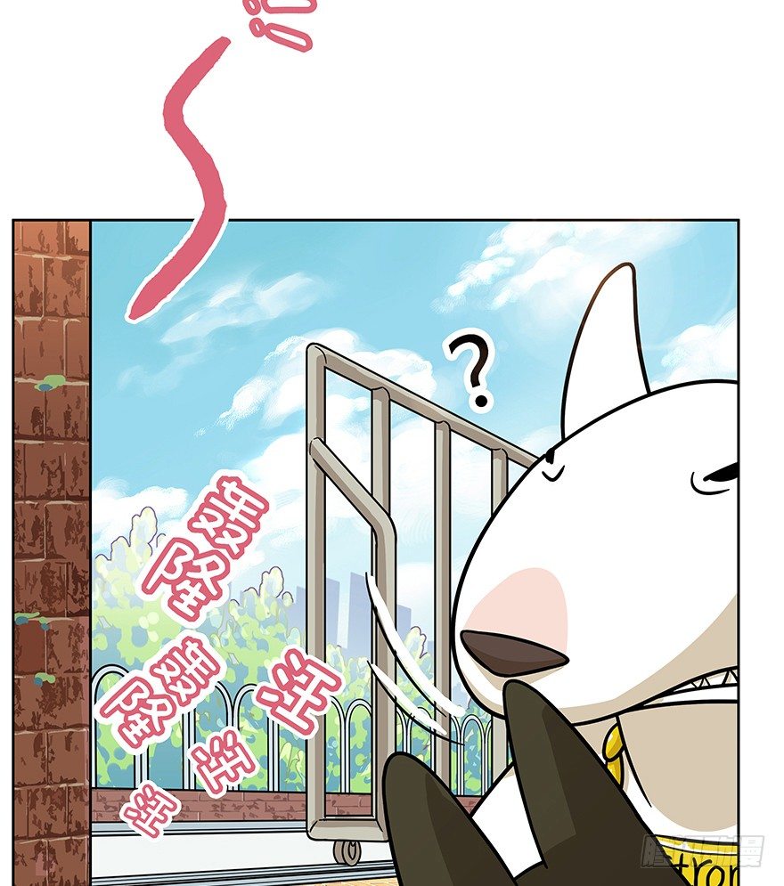 第42爪 想不到的结局（上）-第48话