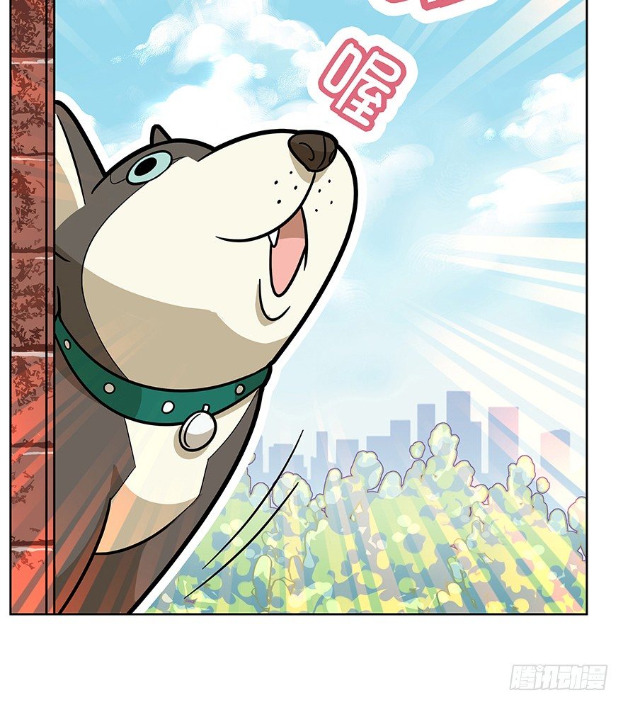 第42爪 想不到的结局（上）-第48话