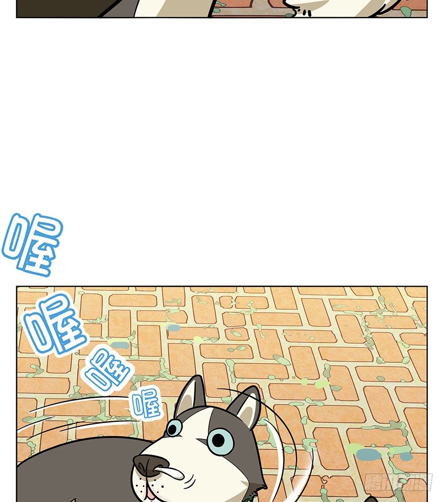 第42爪 想不到的结局（上）-第48话
