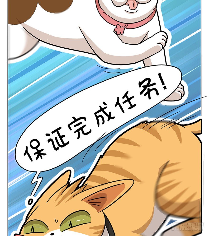 第42爪 想不到的结局（上）-第48话