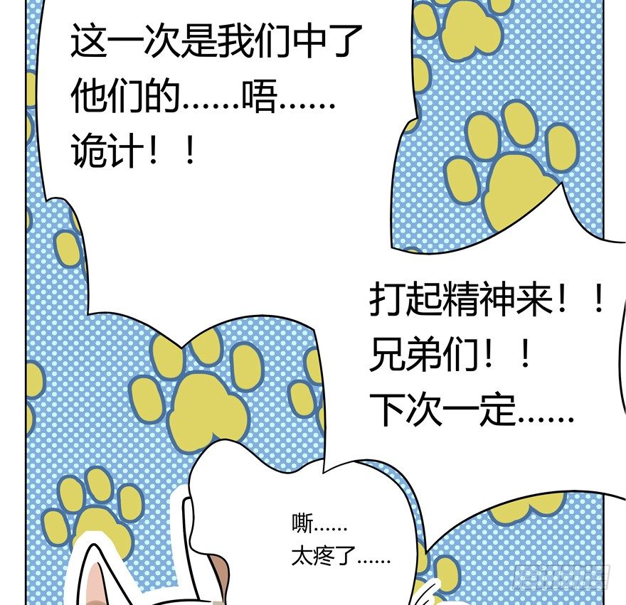 第44爪 夜幕下的阴谋（上）-第50话
