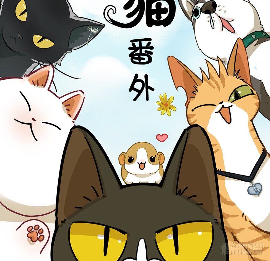 第44爪 夜幕下的阴谋（上）-第50话