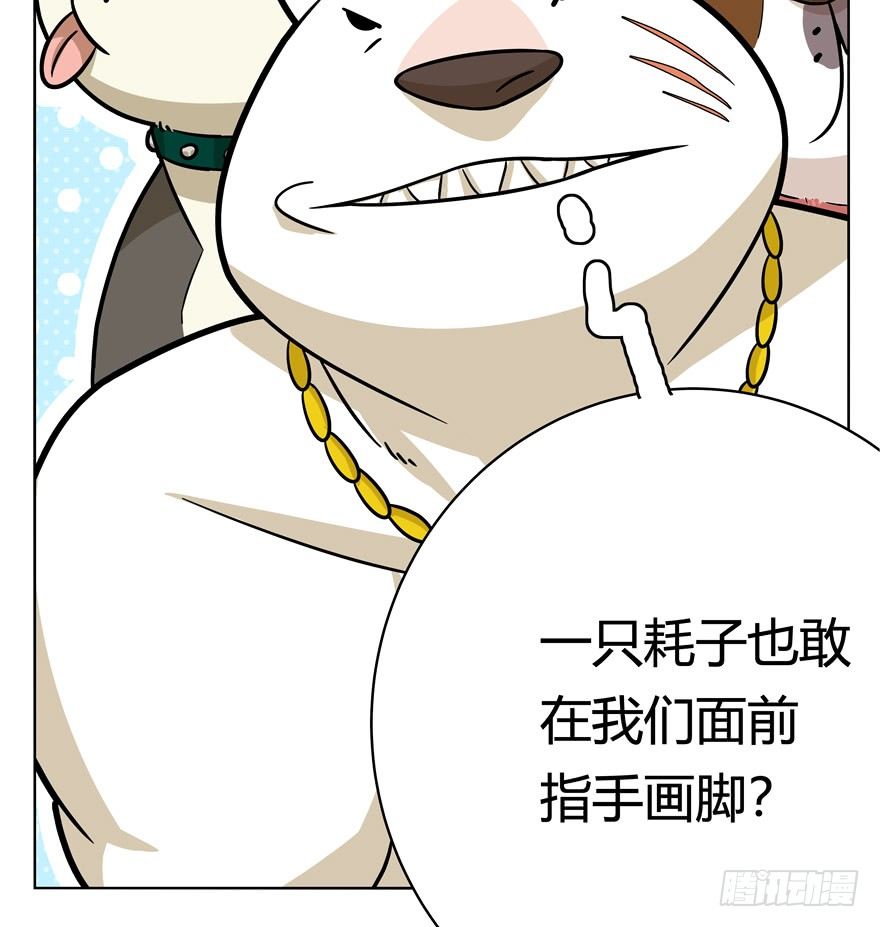第44爪 夜幕下的阴谋（上）-第50话