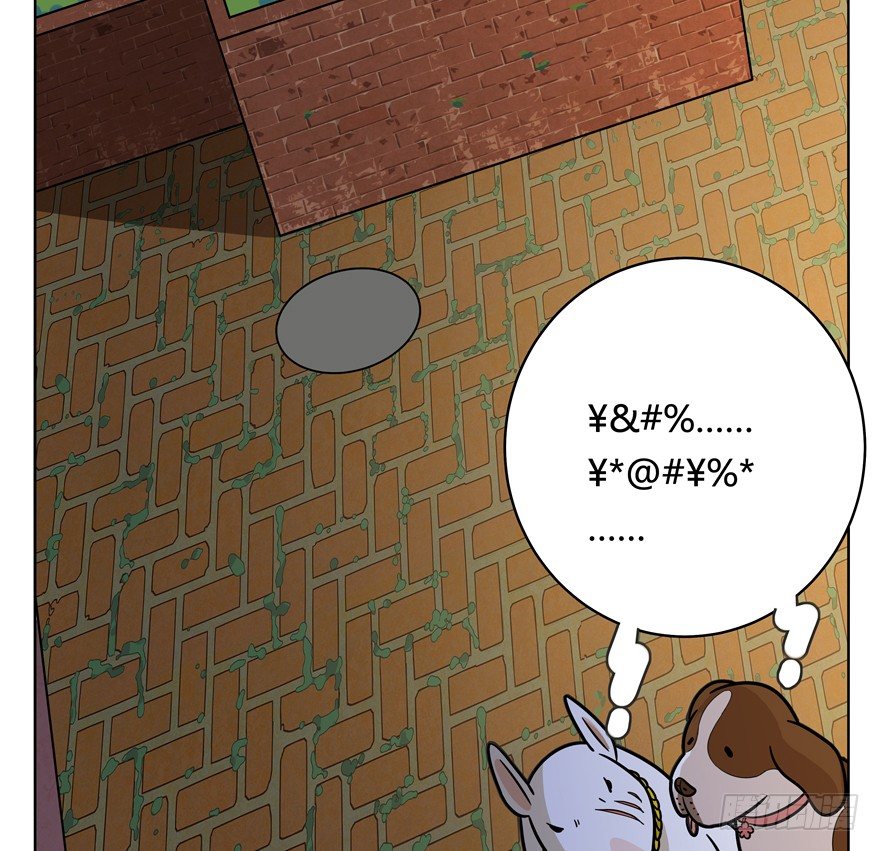 第44爪 夜幕下的阴谋（上）-第50话