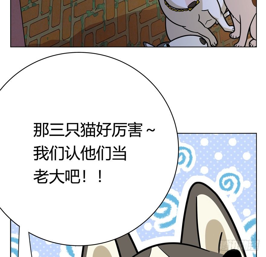第44爪 夜幕下的阴谋（上）-第50话