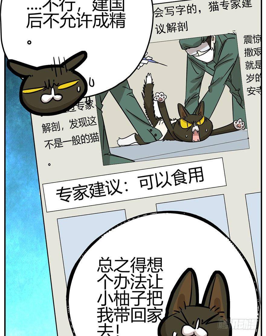 第6爪 似是故人来（下）-第6话
