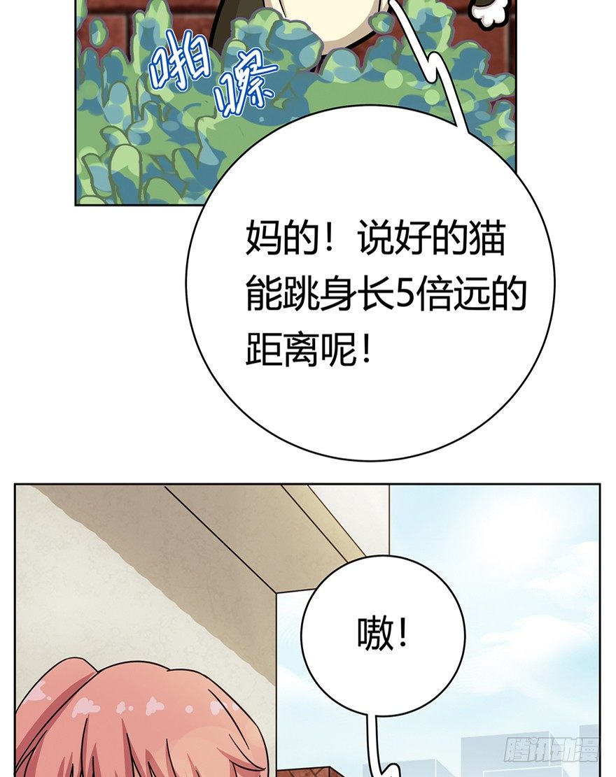 第6爪 似是故人来（下）-第6话