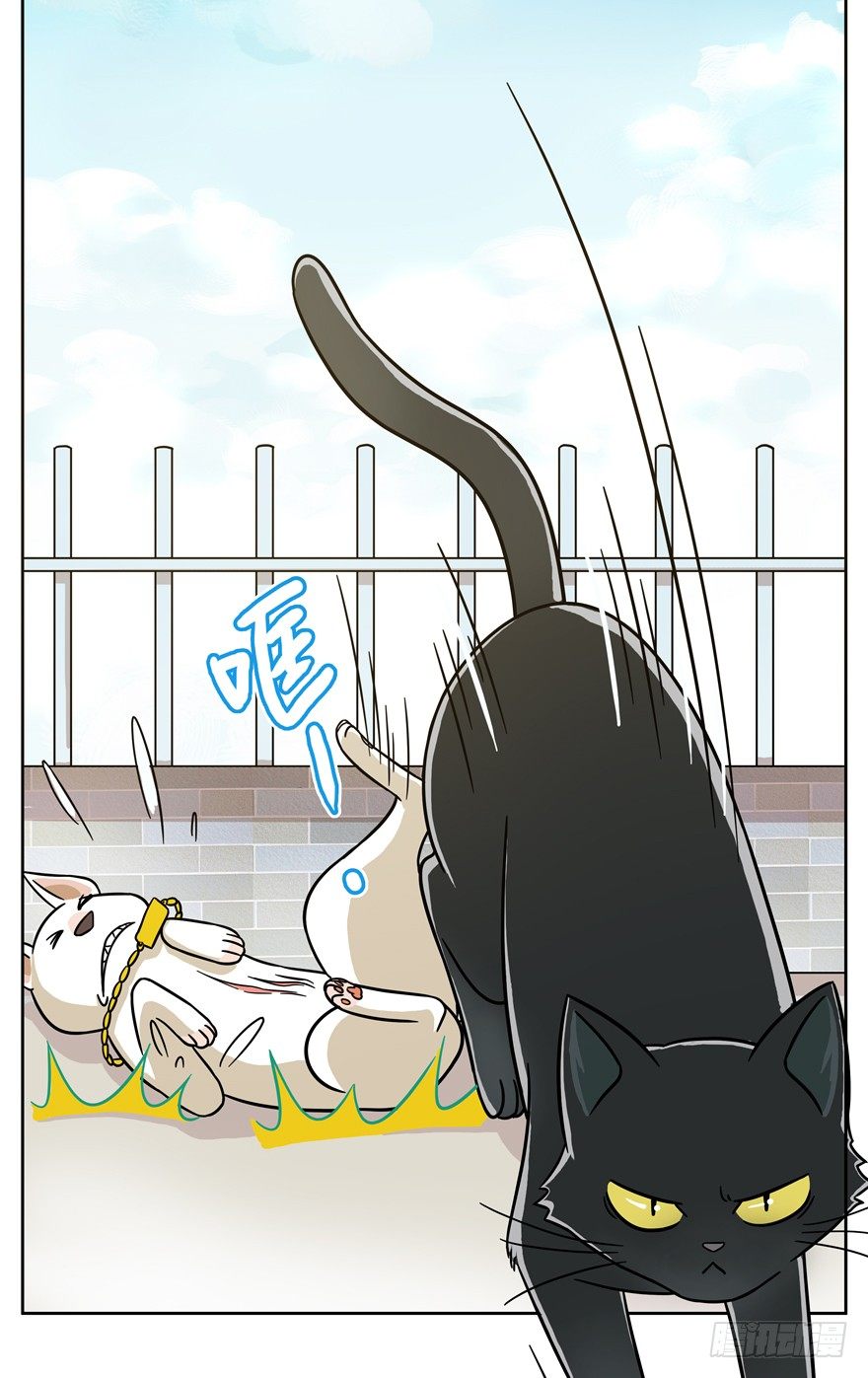 第48爪 强力外援（下）-第54话