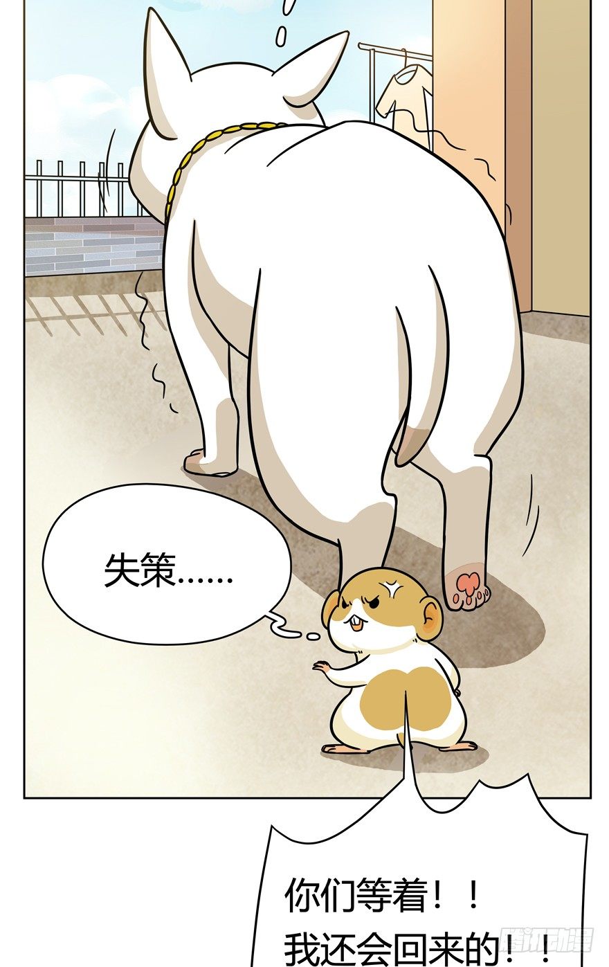 第48爪 强力外援（下）-第54话
