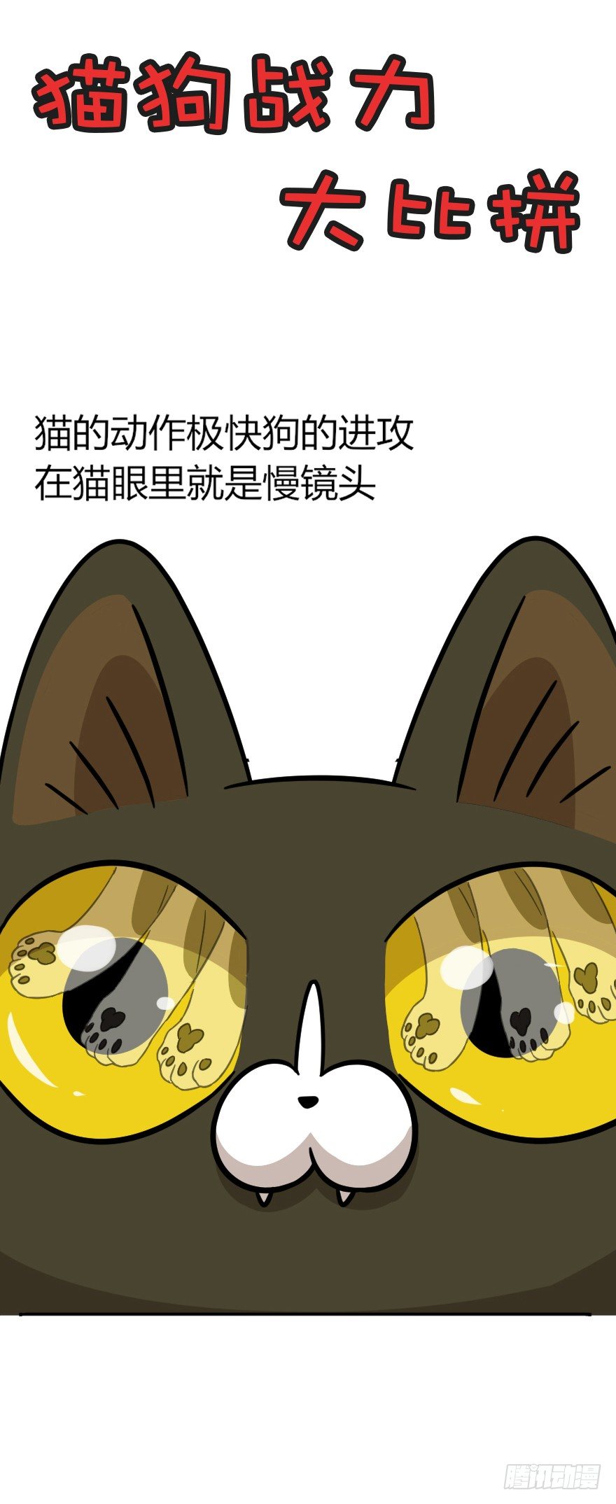 第48爪 强力外援（下）-第54话