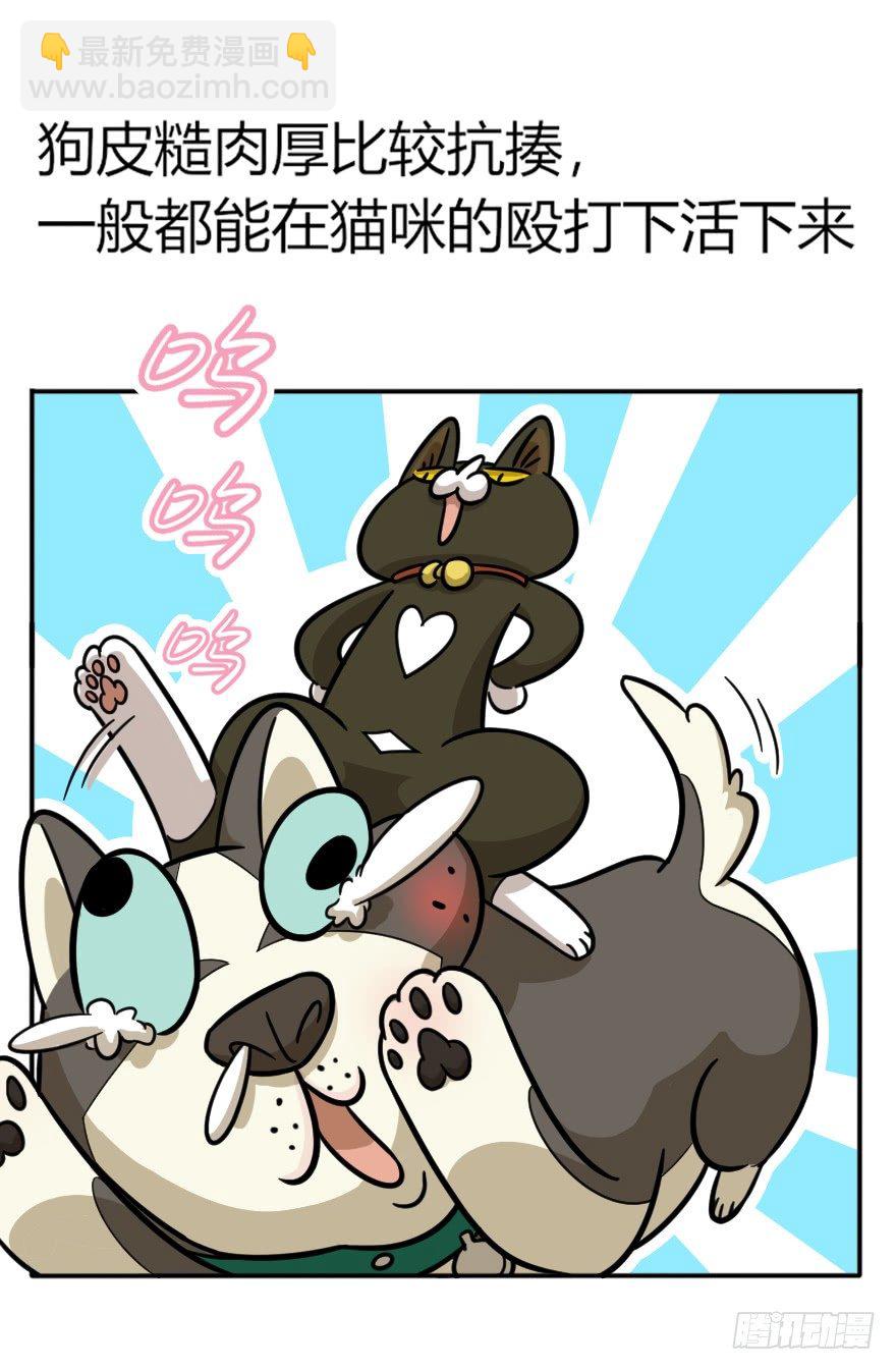 第48爪 强力外援（下）-第54话