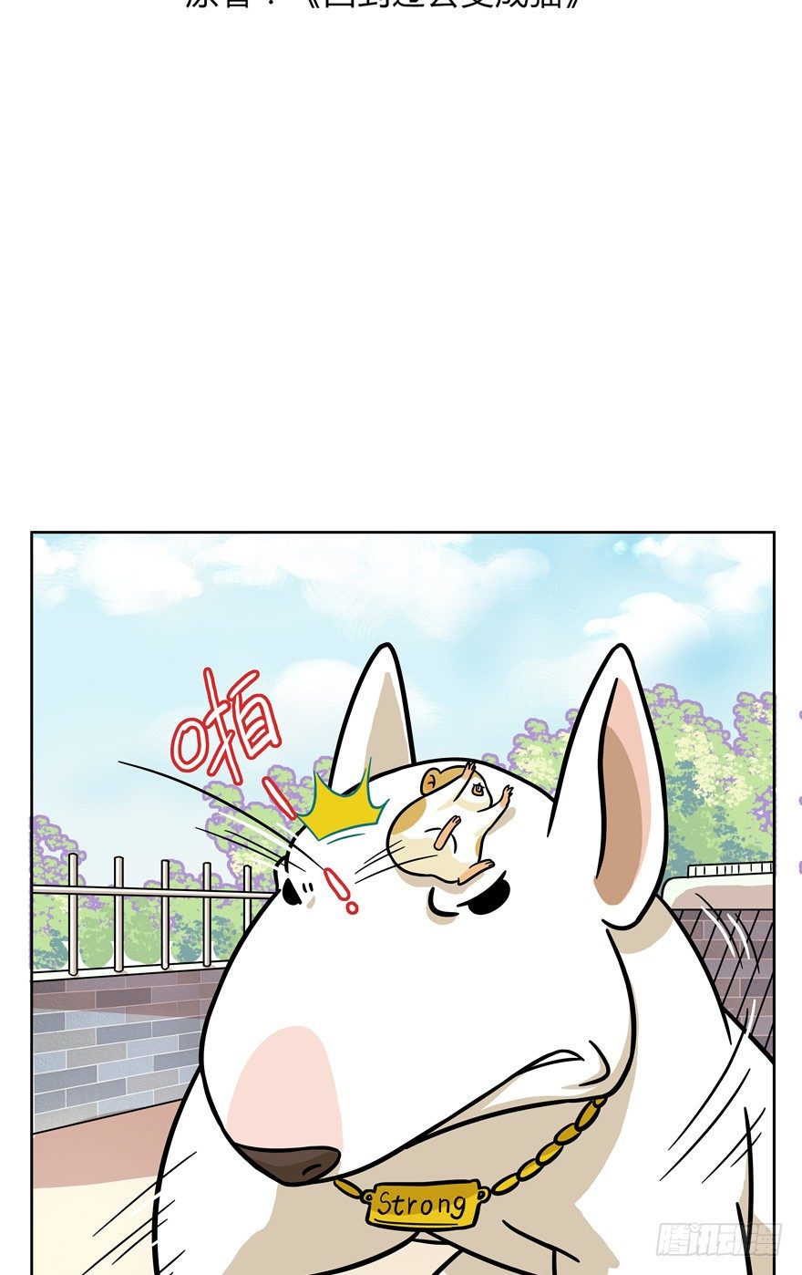 第48爪 强力外援（下）-第54话