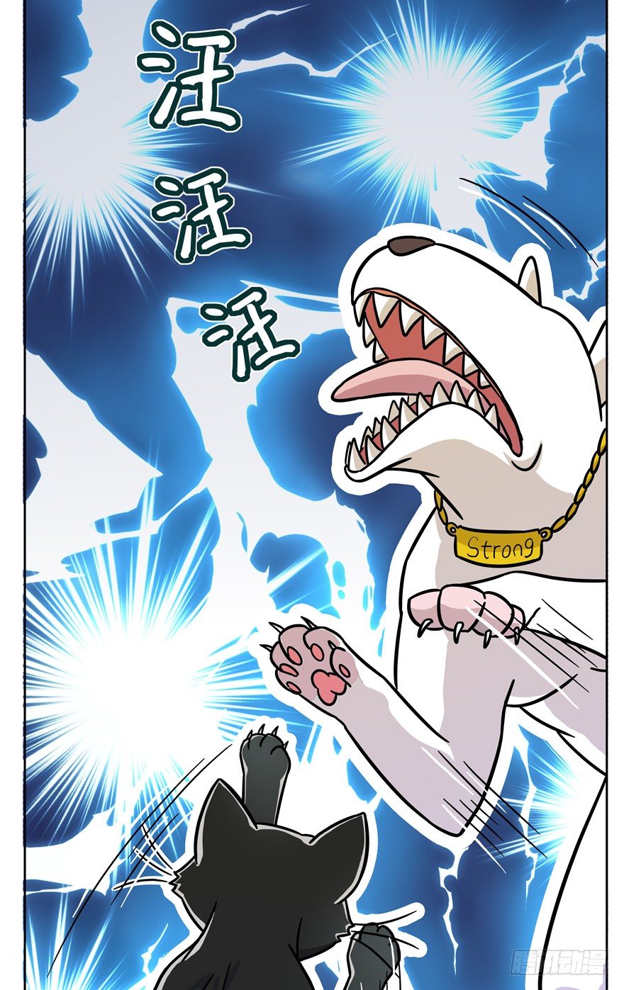 第48爪 强力外援（下）-第54话