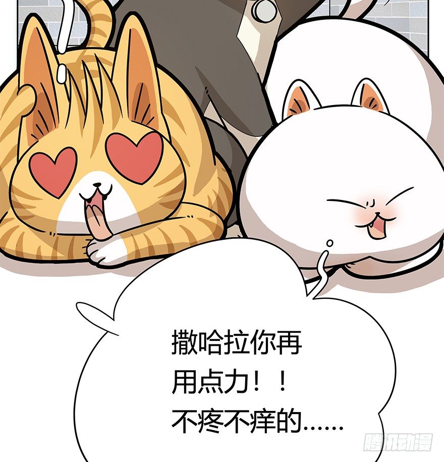 第50爪 送礼（上）-第56话