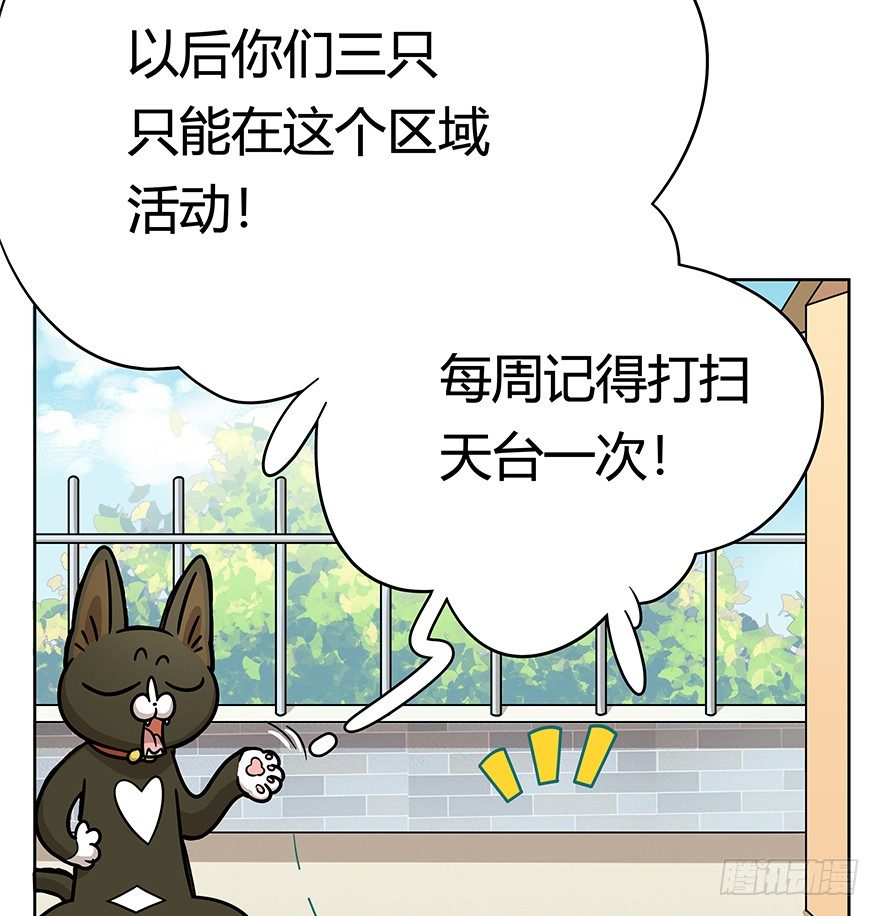 第50爪 送礼（上）-第56话