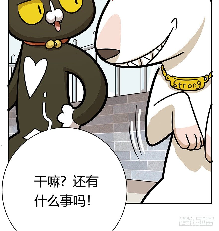 第50爪 送礼（上）-第56话