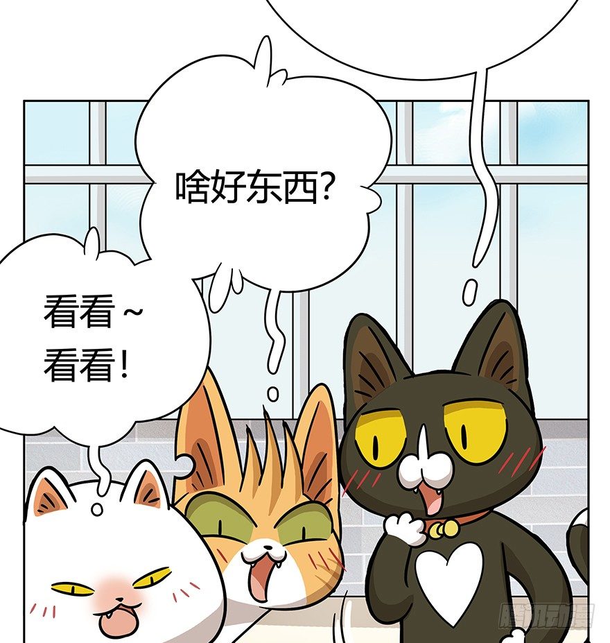 第50爪 送礼（上）-第56话