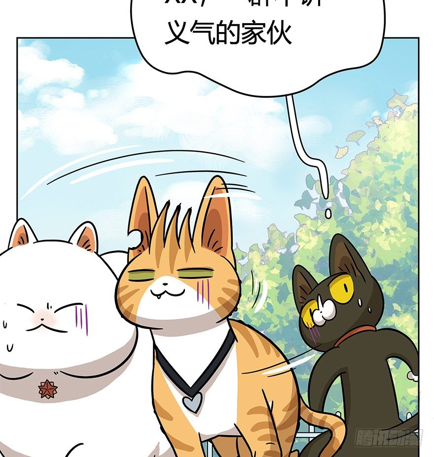 第50爪 送礼（上）-第56话