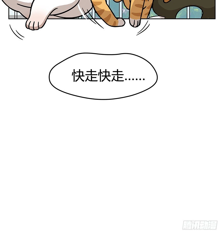 第50爪 送礼（上）-第56话