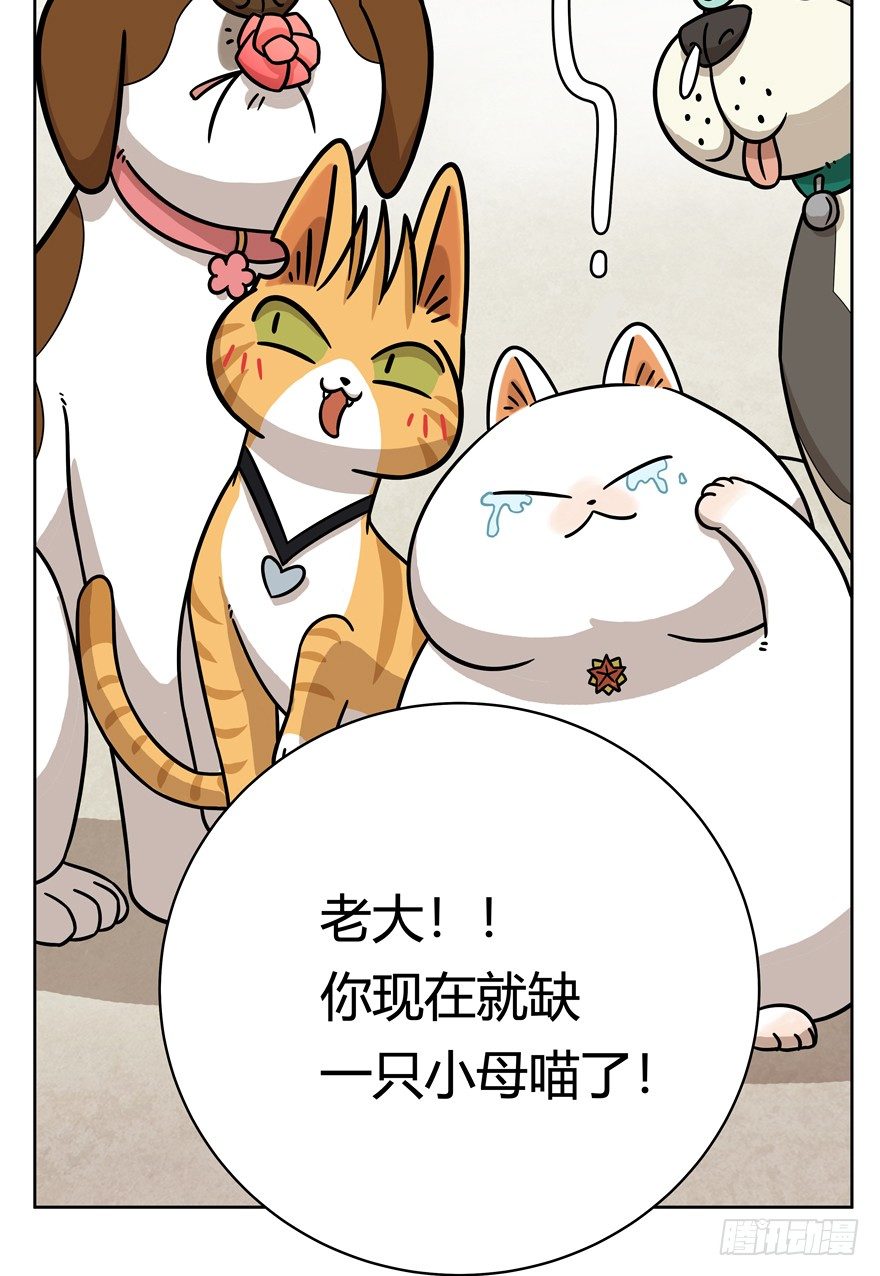 第52爪 胜利的曙光-第58话