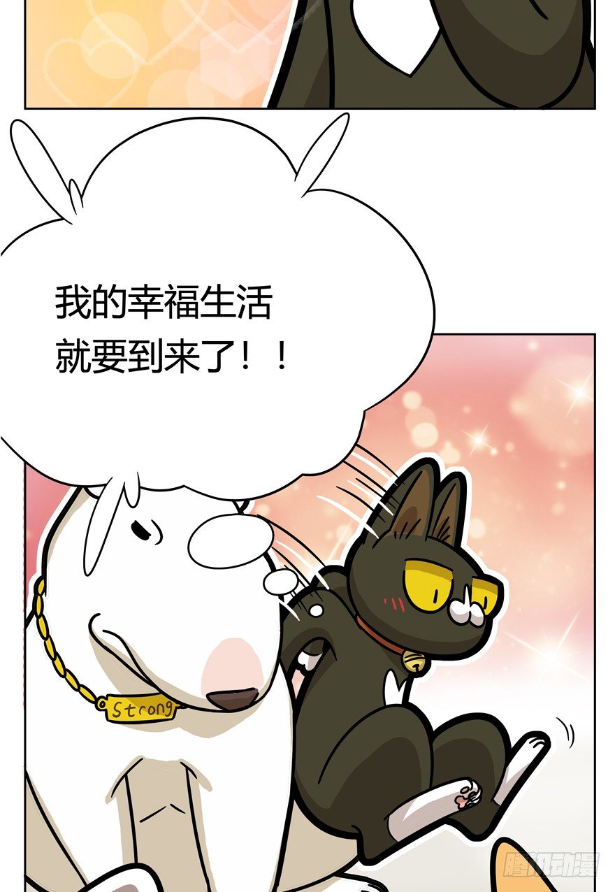 第52爪 胜利的曙光-第58话