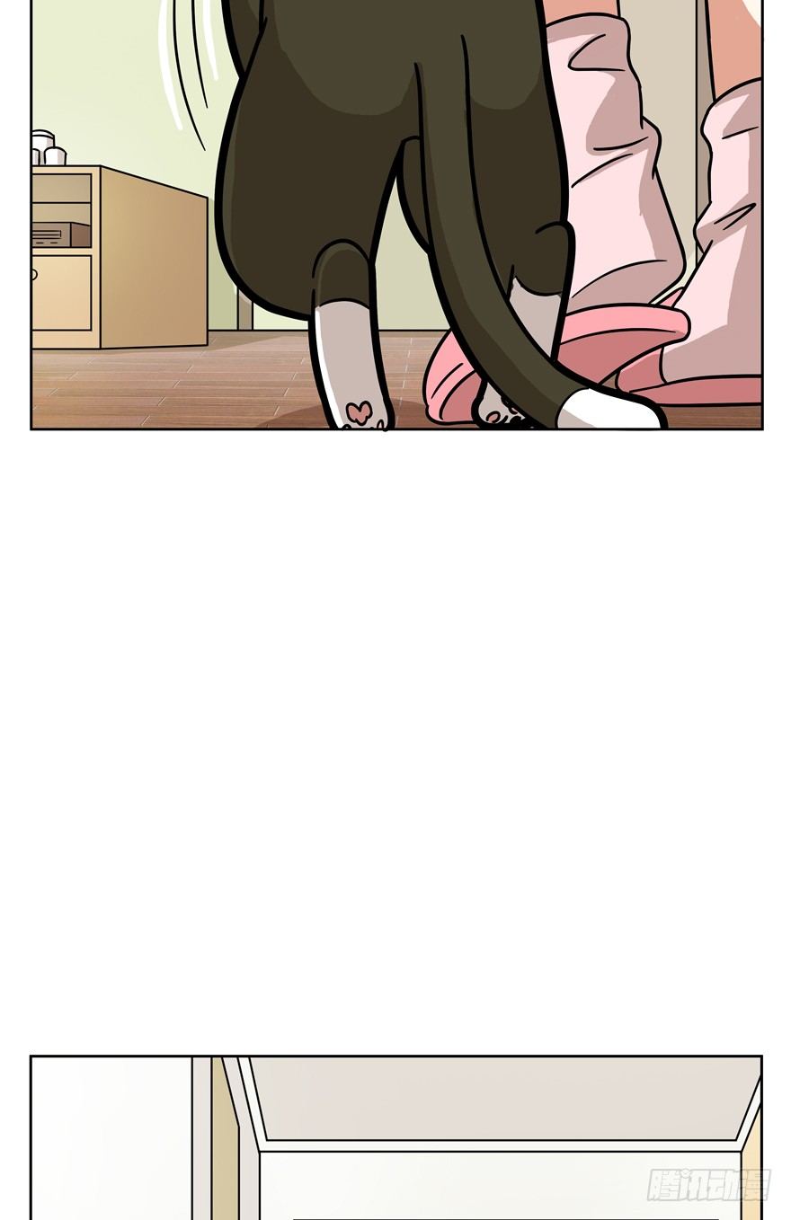 第54爪 不能失去（上）-第60话