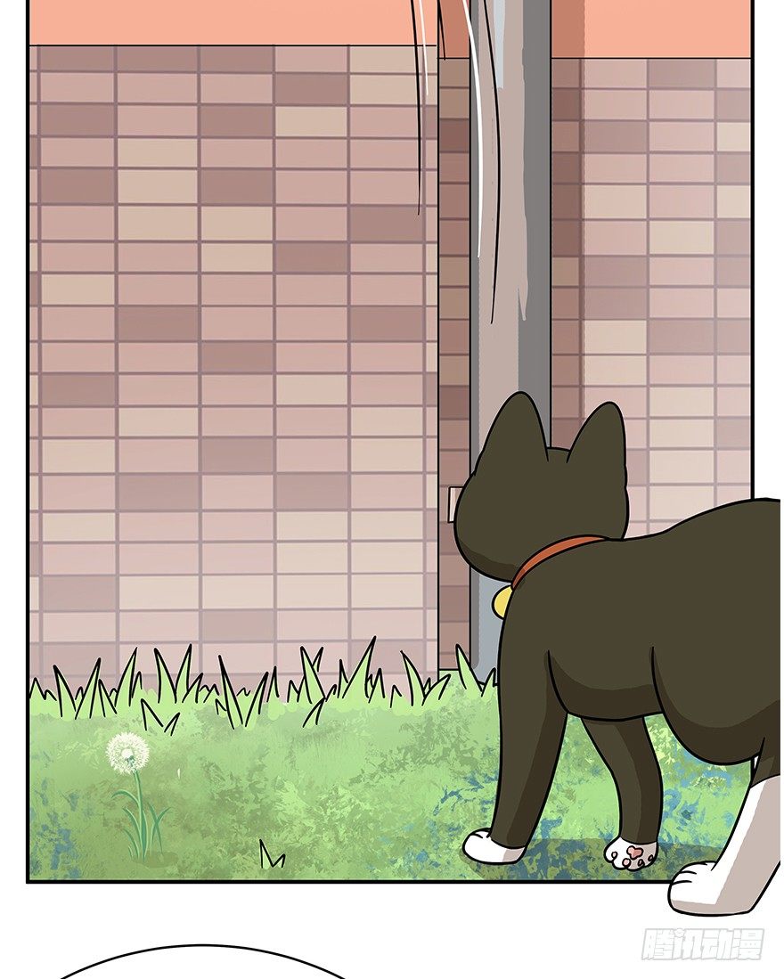 第60爪 行动开始(1/2)-第66话