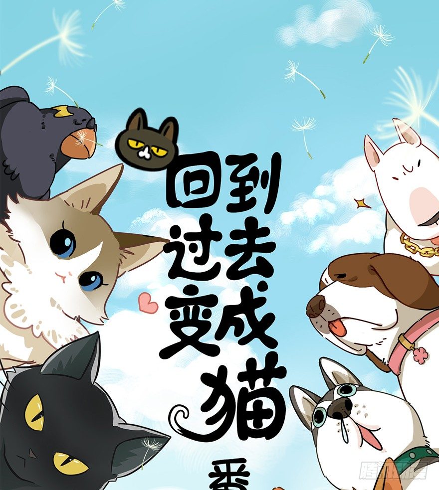 第62爪 &ldquo;虐猫&rdquo;照骗（下）-第68话