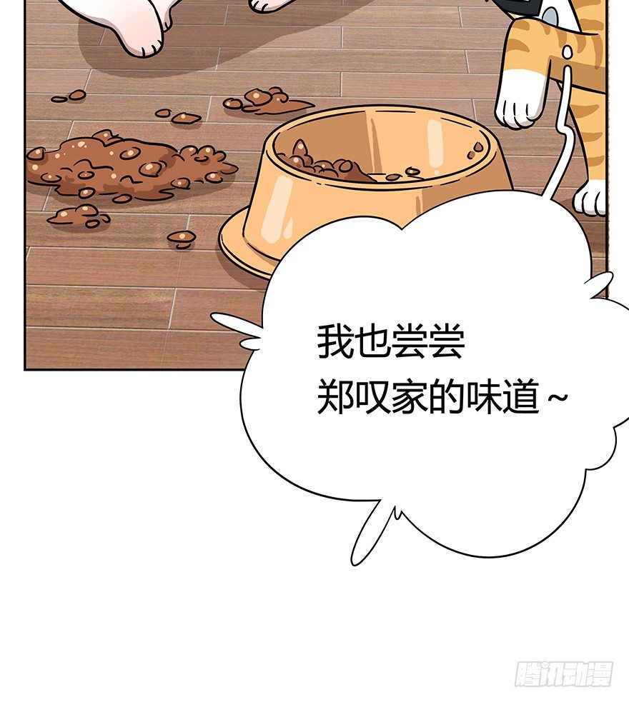第62爪 &ldquo;虐猫&rdquo;照骗（下）-第68话