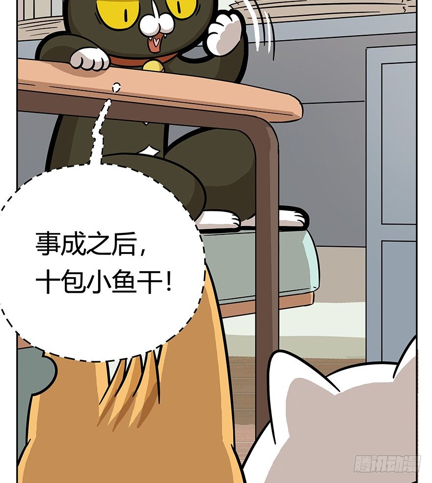 第62爪 &ldquo;虐猫&rdquo;照骗（下）-第68话