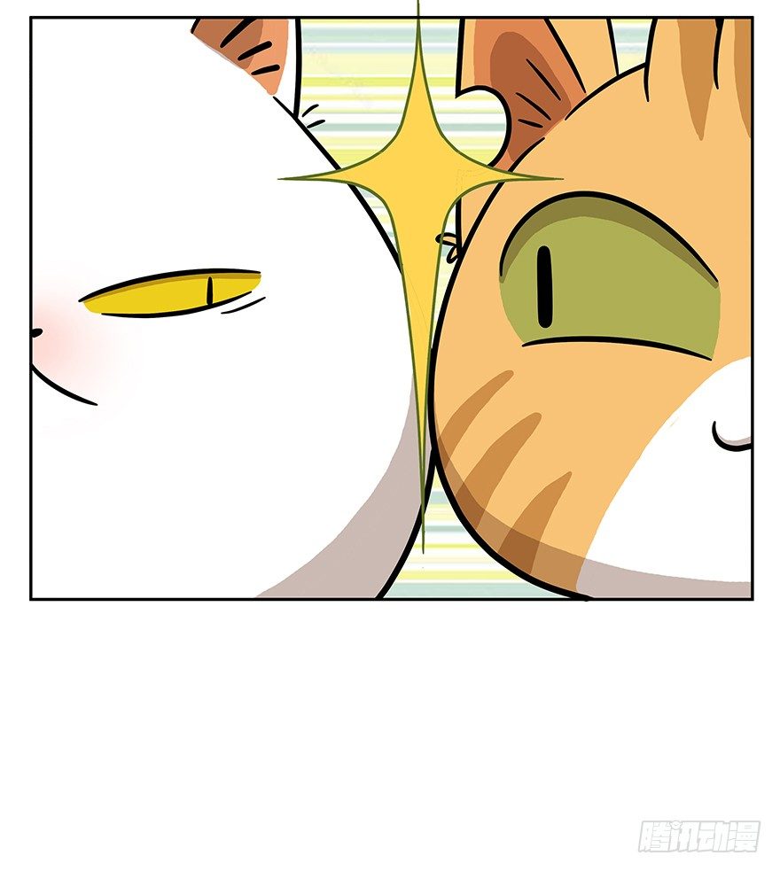 第62爪 &ldquo;虐猫&rdquo;照骗（下）-第68话