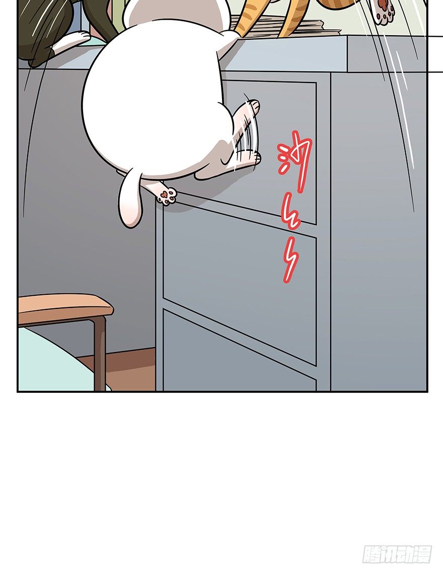 第62爪 &ldquo;虐猫&rdquo;照骗（下）-第68话