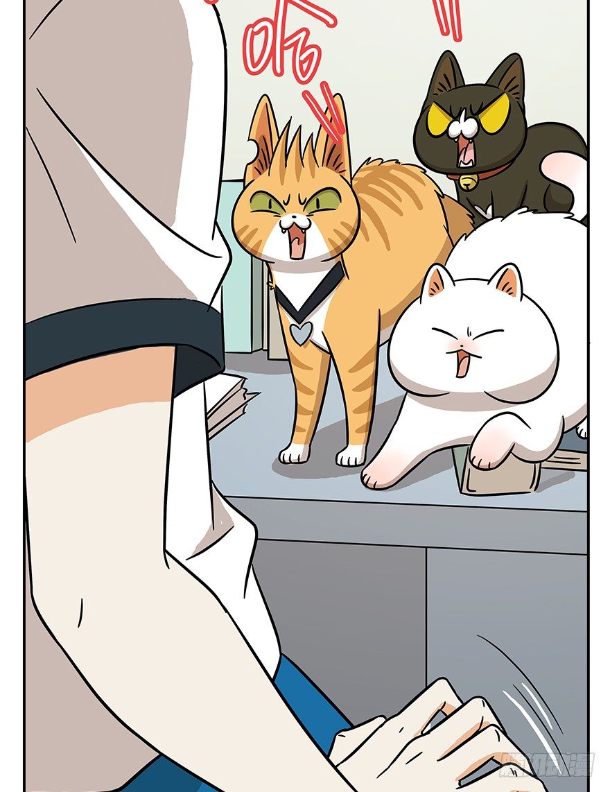 第62爪 &ldquo;虐猫&rdquo;照骗（下）-第68话