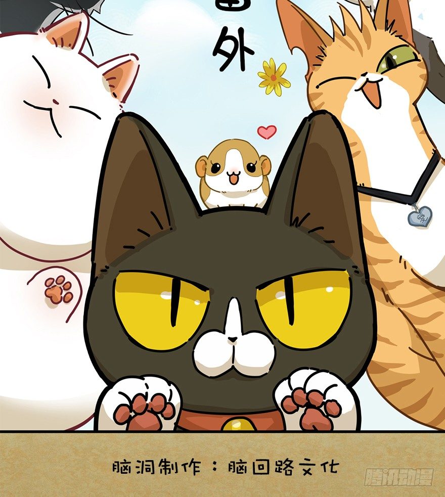 第62爪 &ldquo;虐猫&rdquo;照骗（下）-第68话