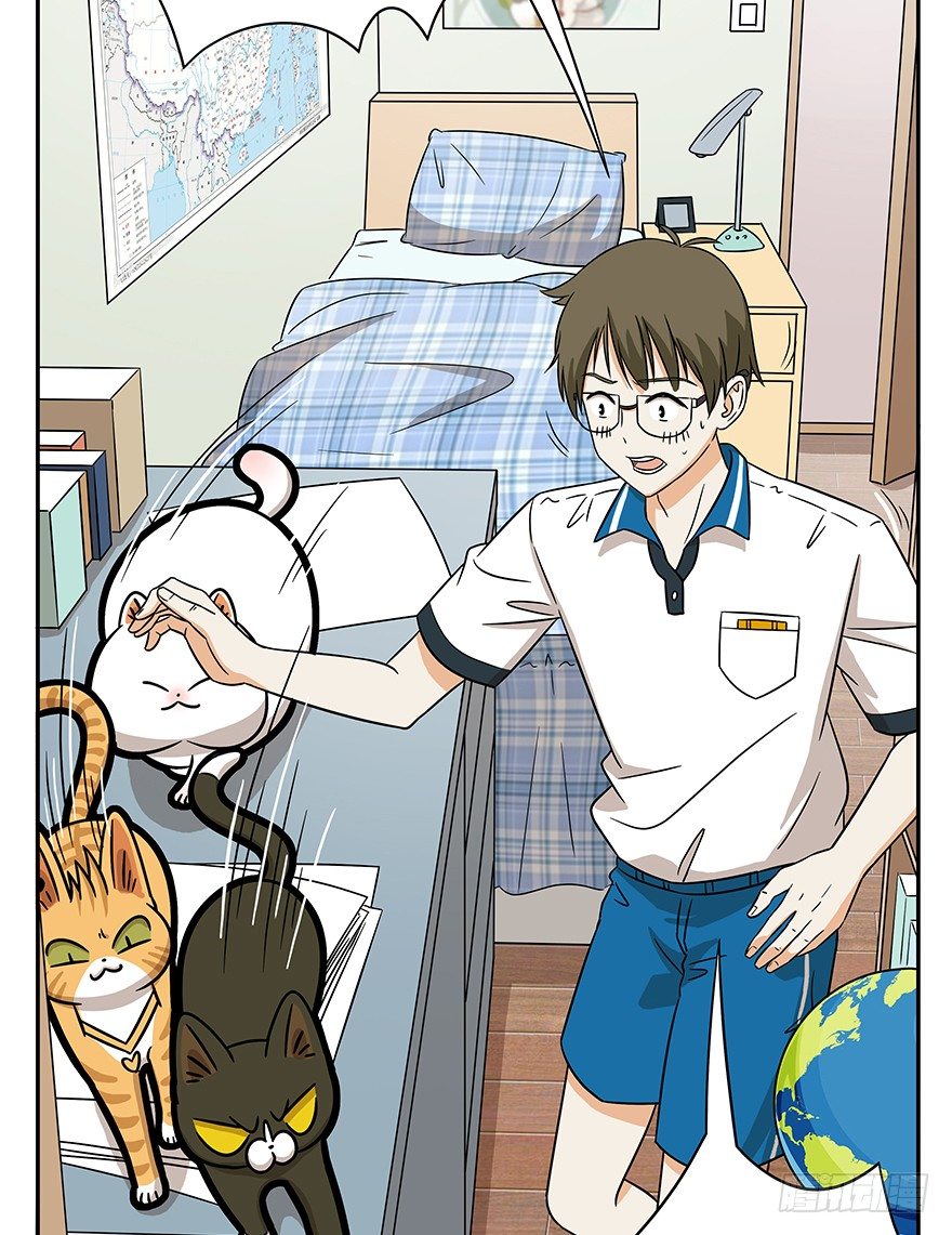 第62爪 &ldquo;虐猫&rdquo;照骗（下）-第68话