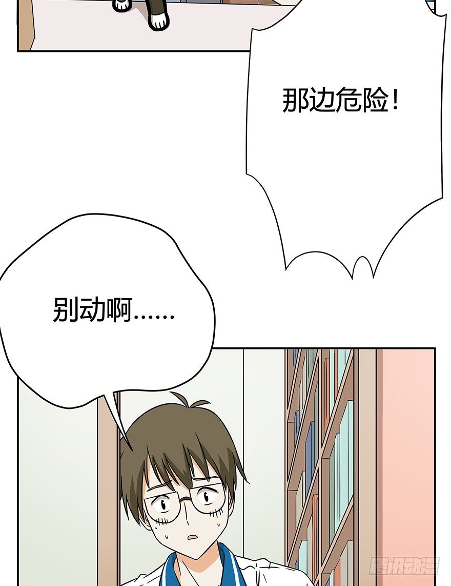 第62爪 &ldquo;虐猫&rdquo;照骗（下）-第68话