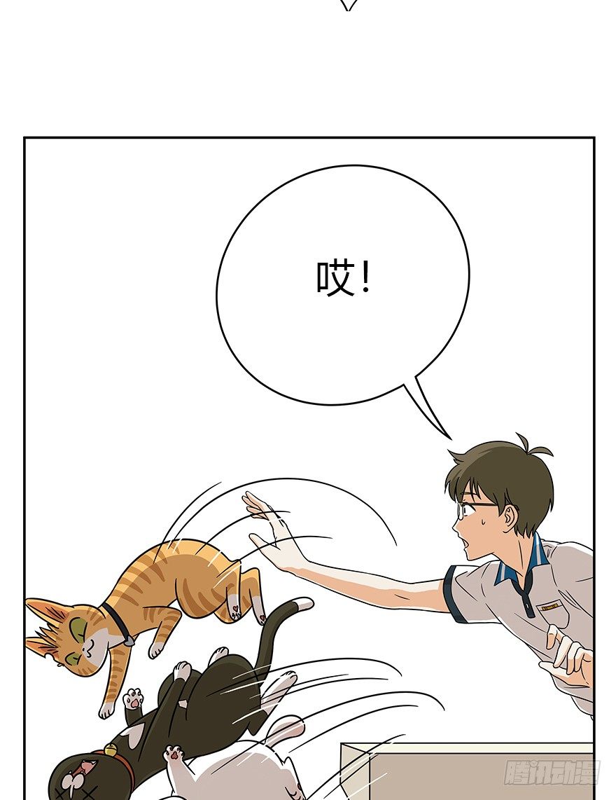 第62爪 &ldquo;虐猫&rdquo;照骗（下）-第68话