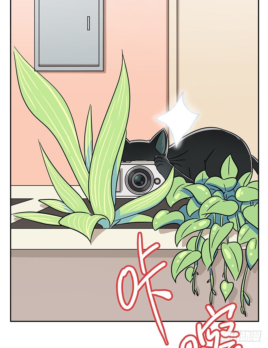 第62爪 &ldquo;虐猫&rdquo;照骗（下）-第68话