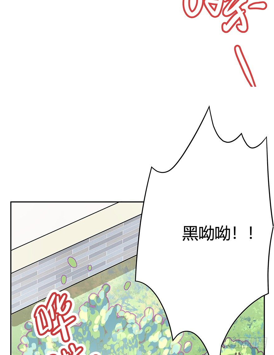 第62爪 &ldquo;虐猫&rdquo;照骗（下）-第68话