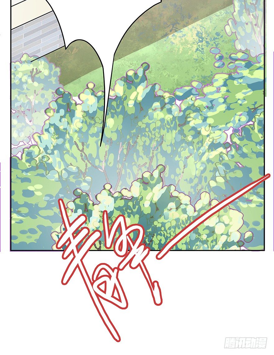 第62爪 &ldquo;虐猫&rdquo;照骗（下）-第68话