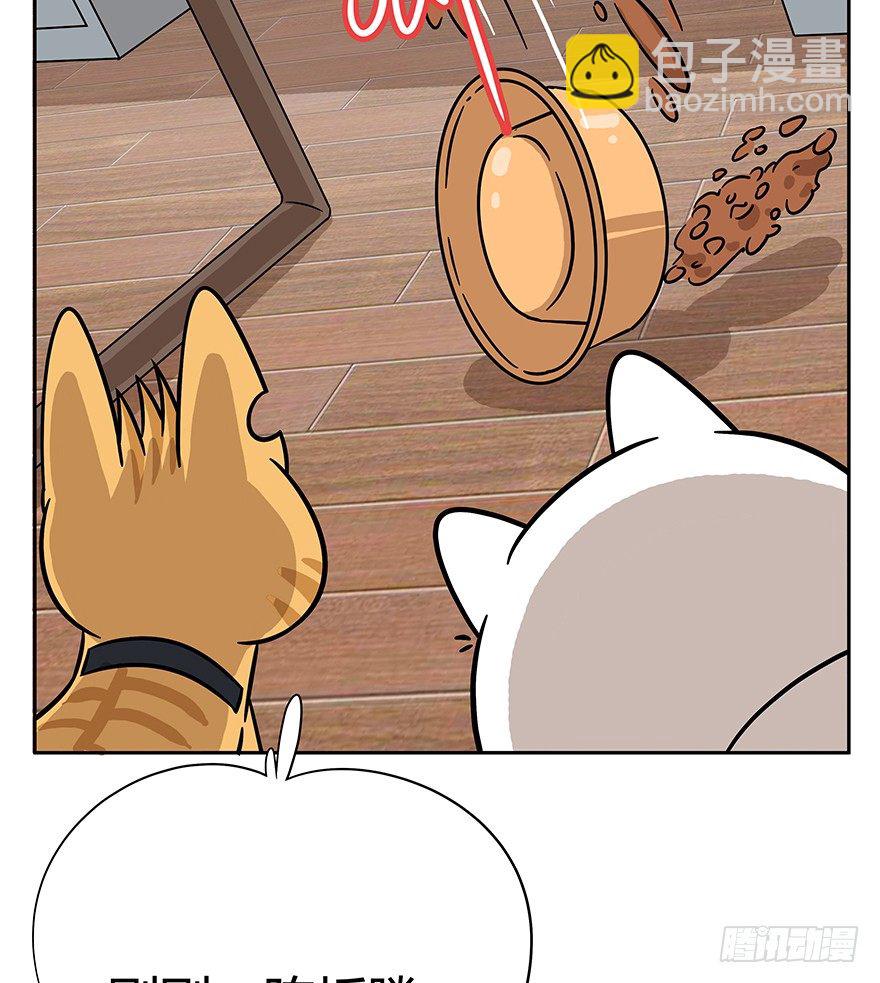 第62爪 &ldquo;虐猫&rdquo;照骗（下）-第68话